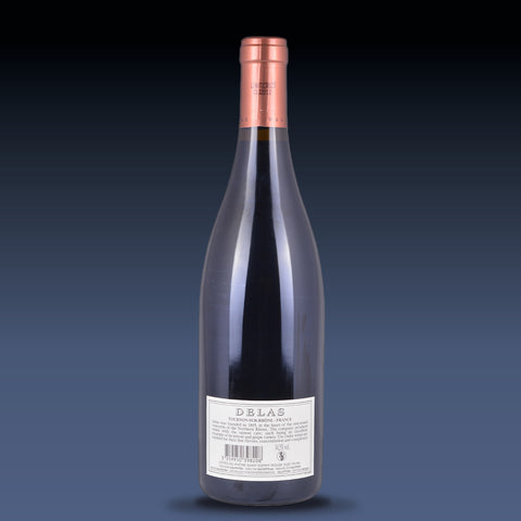 Delas Frères Saint-Esprit Rouge Côtes du Rhône AOC